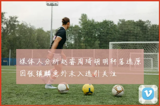 媒体人分析赵睿周琦胡明轩落选原因张镇麟意外未入选引关注