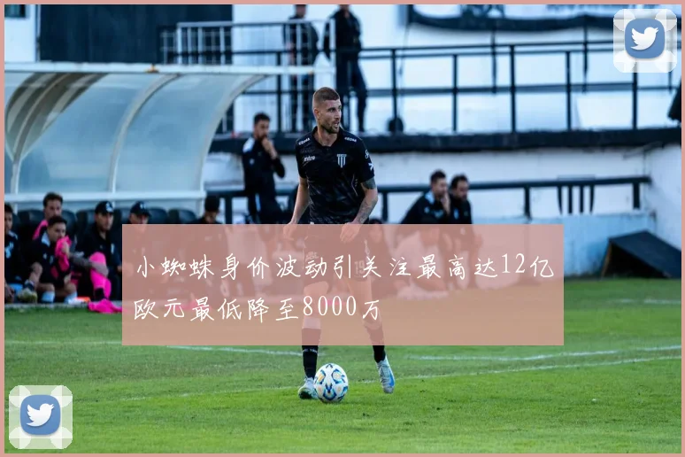 小蜘蛛身价波动引关注最高达12亿欧元最低降至8000万